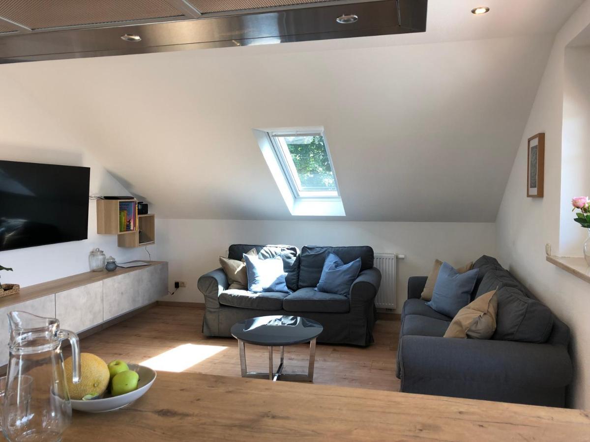 Haus Am Spitalgarten Fuer 10 Personen Gundelfingen an der Donau エクステリア 写真